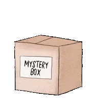 HIGH4D misteri box